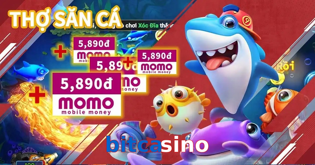 bitcasino