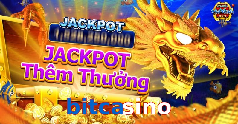 bitcasino