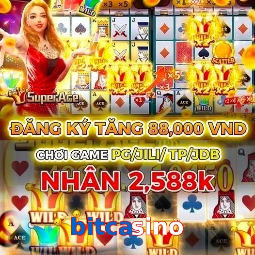 bitcasino